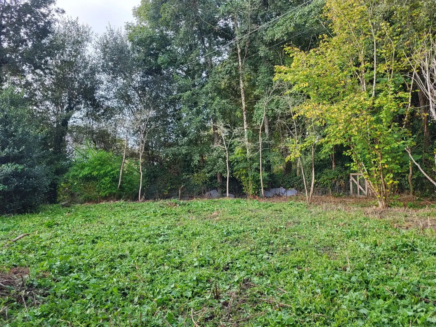 Terreno en venta en Vilalba