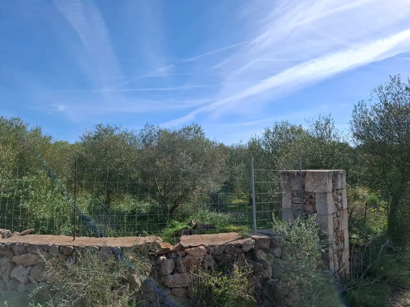 Rural land for sale in Carretera Porto Cristo-Son Servera 14, imagen 2