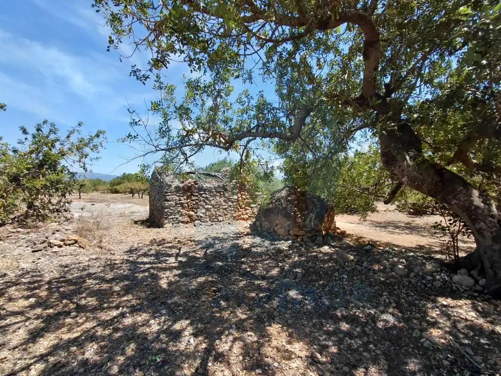 Casa rústica en venta en El Perelló, imagen 7