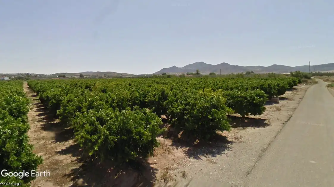 Terreno rústico en venta en Huércal-Overa, imagen 8