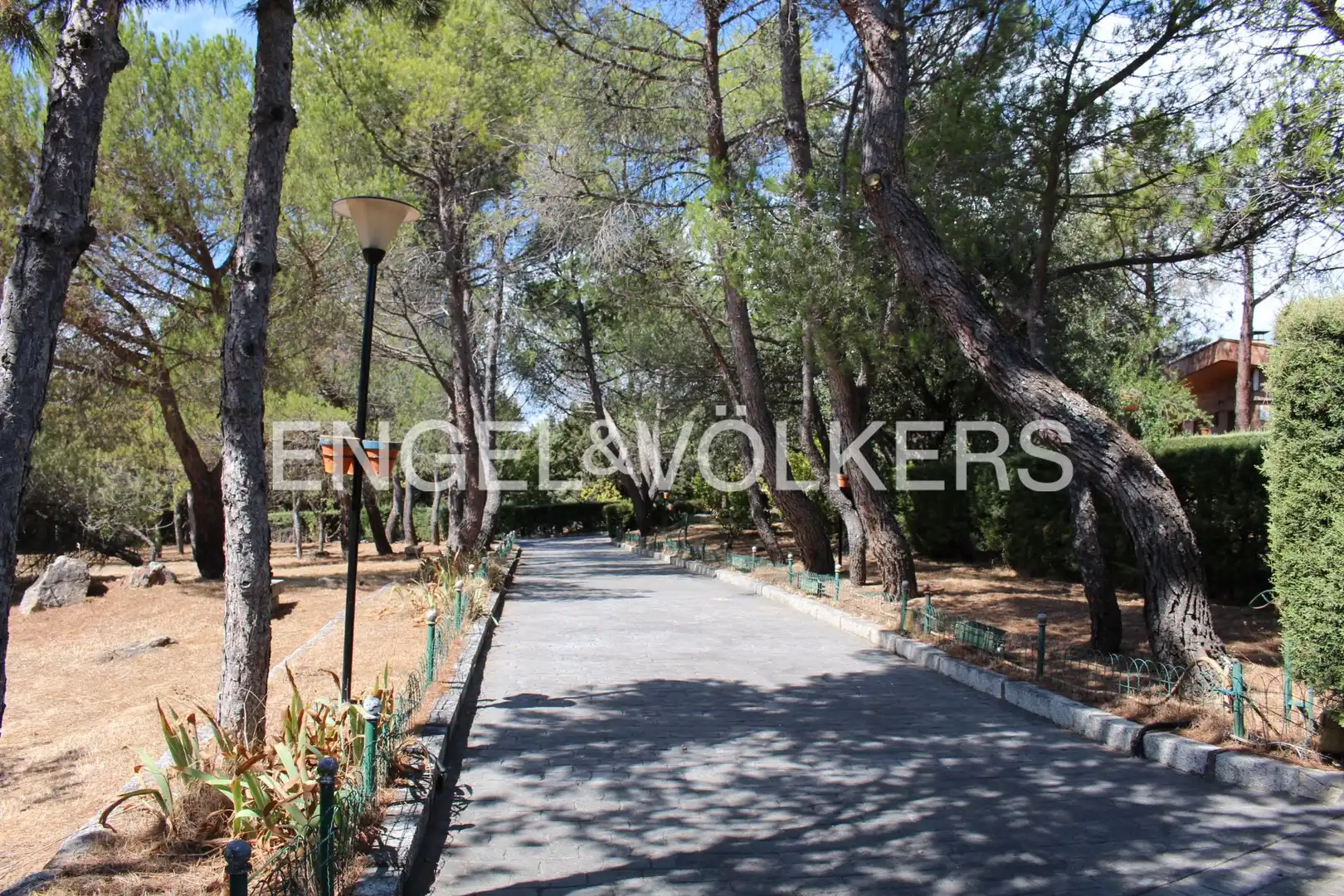 Vista exterior de Casa o chalet en venta en Cabanillas de la Sierra con Calefacción, Jardín privado y Piscina