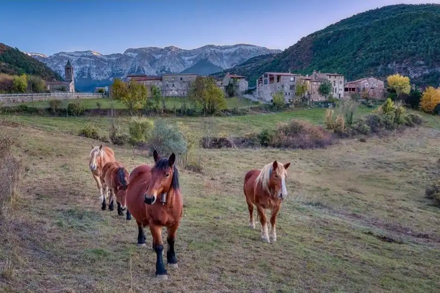 Exterior view of Country homes for sale in Arsèguel  with Air Conditioner and Terrace