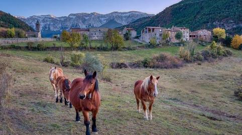 Photo 4 of Country homes for sale in Doctor Llangort, Arsèguel, Lleida