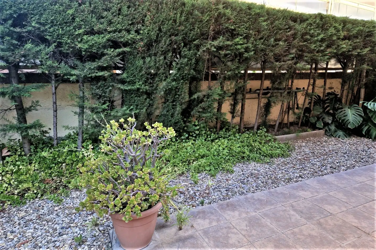 Bajo con jardín en venta en Via Augusta 18a, imagen 6