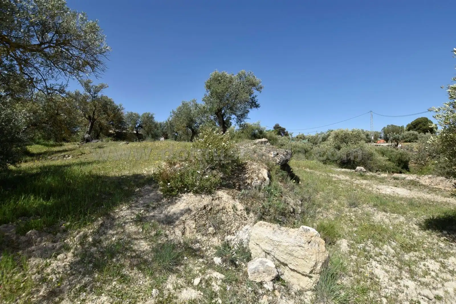 Finca rústica en venda en Ronda