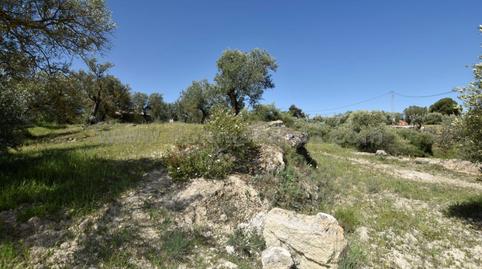 Foto 5 de Finca rústica en venda a Partidas Norte, Ronda