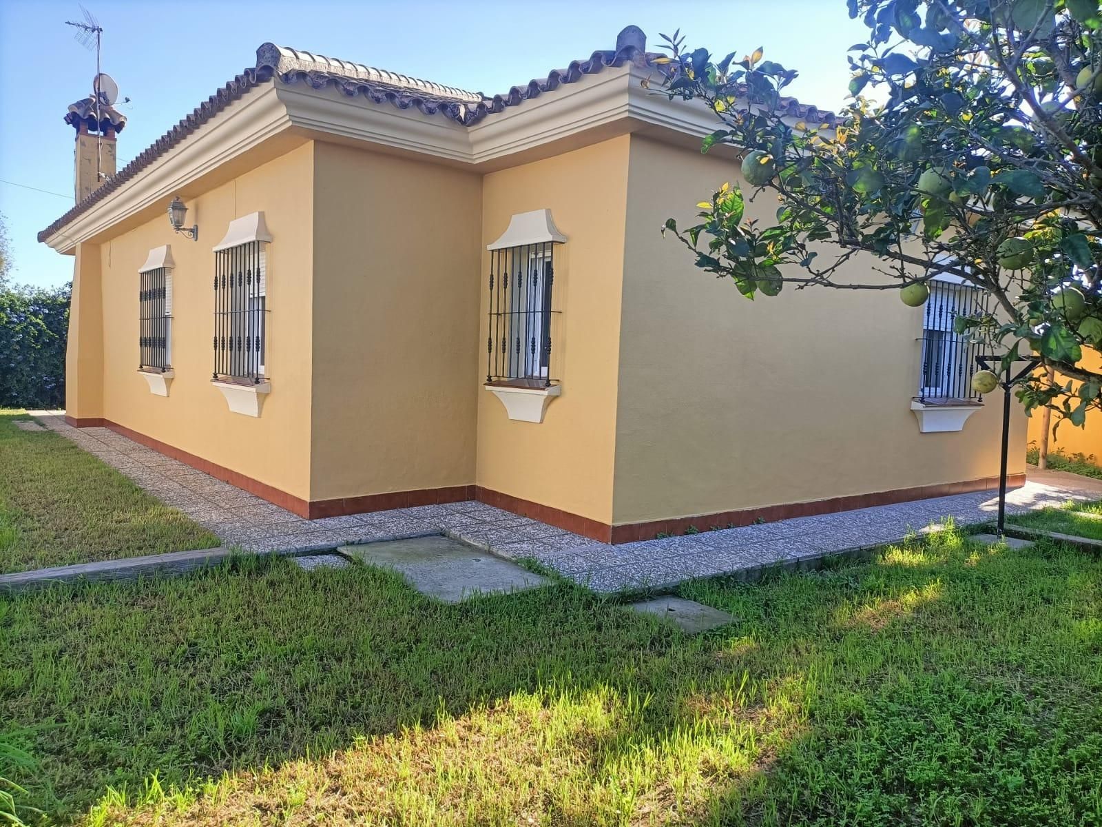 Vista exterior de Casa o xalet en venda en Chiclana de la Frontera amb Jardí privat i Traster