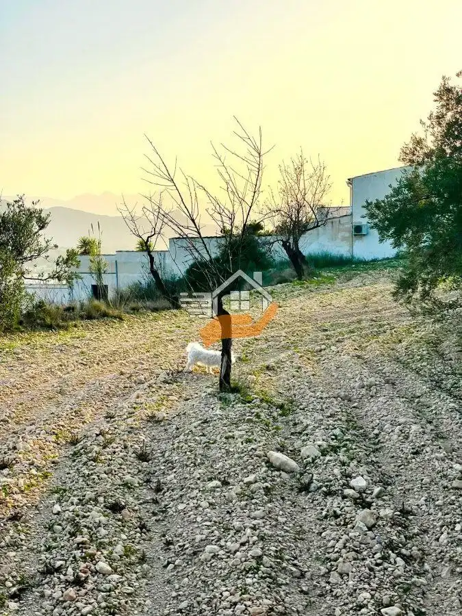 Lands and plots for sale in Vélez-Rubio, imagen 8