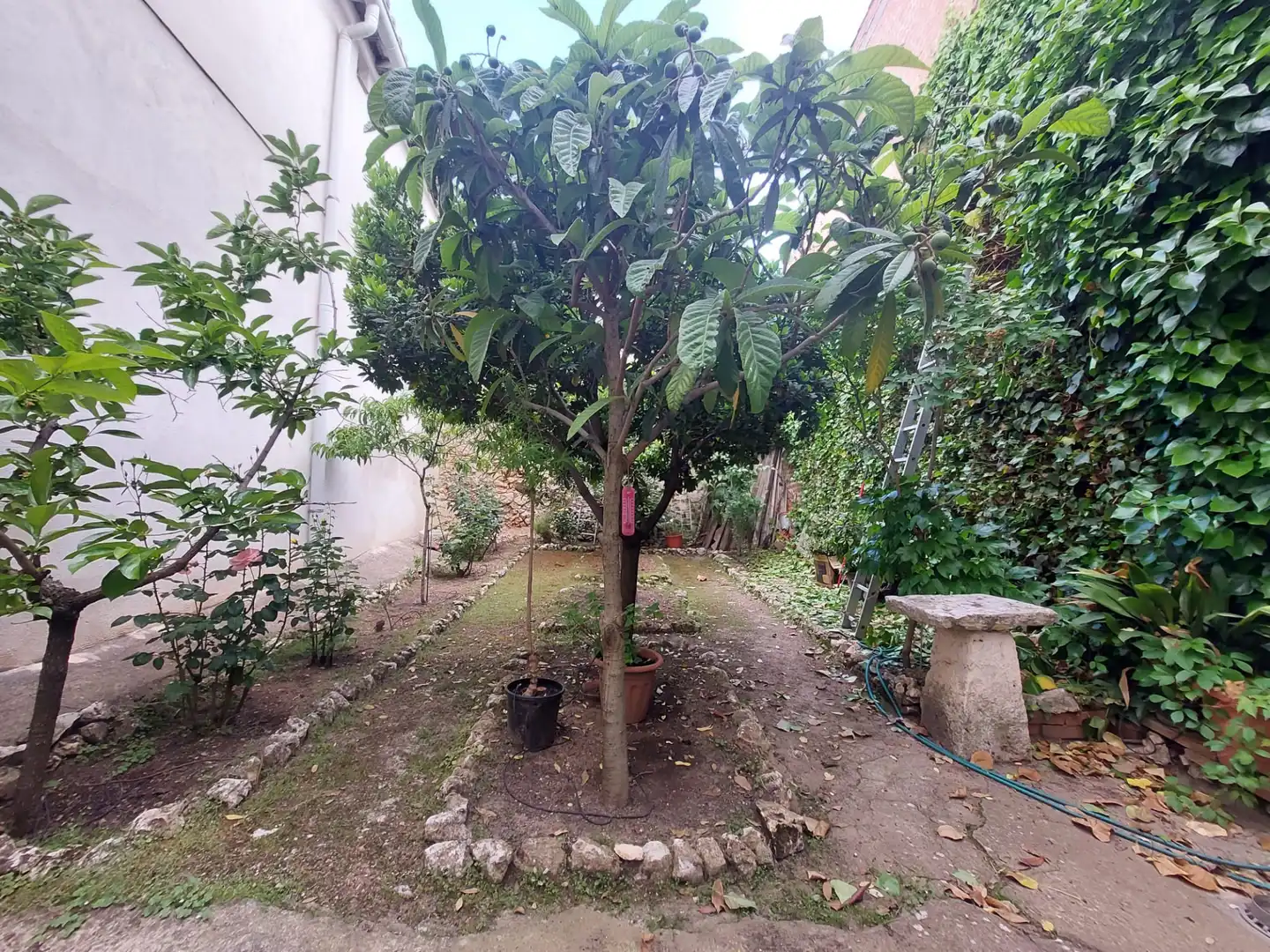 Casa adosada en venda en Chinchón amb Aire condicionat, Calefacció i Jardí privat