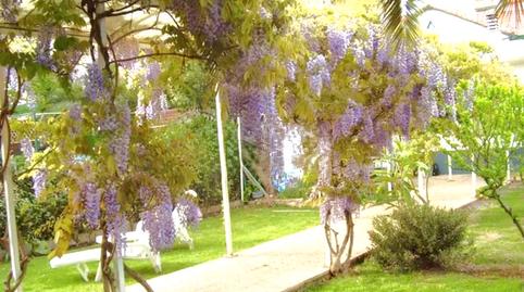 Photo 4 of Single-family semi-detached for sale in Plaza Joaquín Elizalde, Residencia, La Rioja