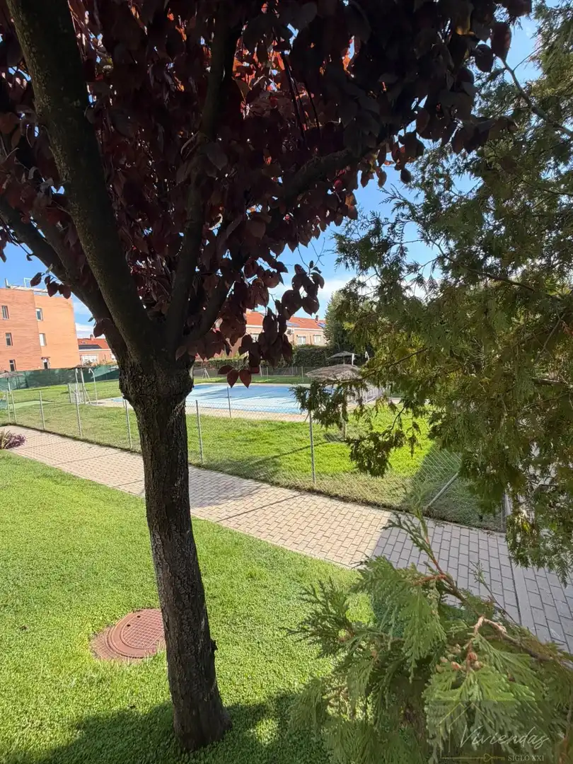 Appartamento con piscina in vendita a CONDESA DE CHINCHON 15, imagen 28