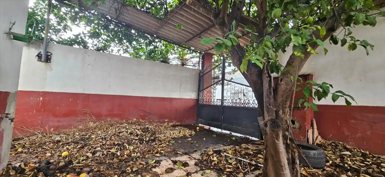 Villa in vendita a Felipa, imagen 2