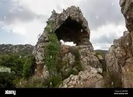 Jardí de Casa o xalet en venda en Los Barrios amb Aire condicionat, Jardí privat i Terrassa