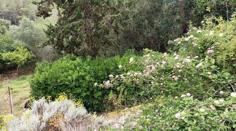 Photo 3 of Residential for sale in Son Roca, Illes Balears