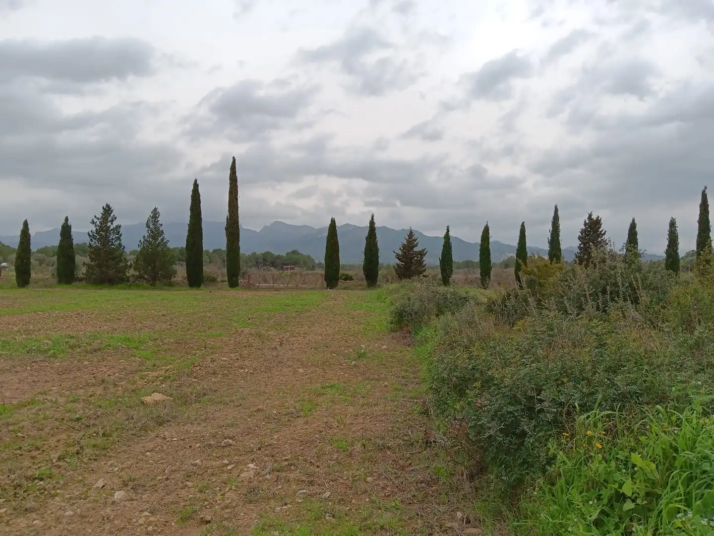Nave industrial en venta en Ginestar