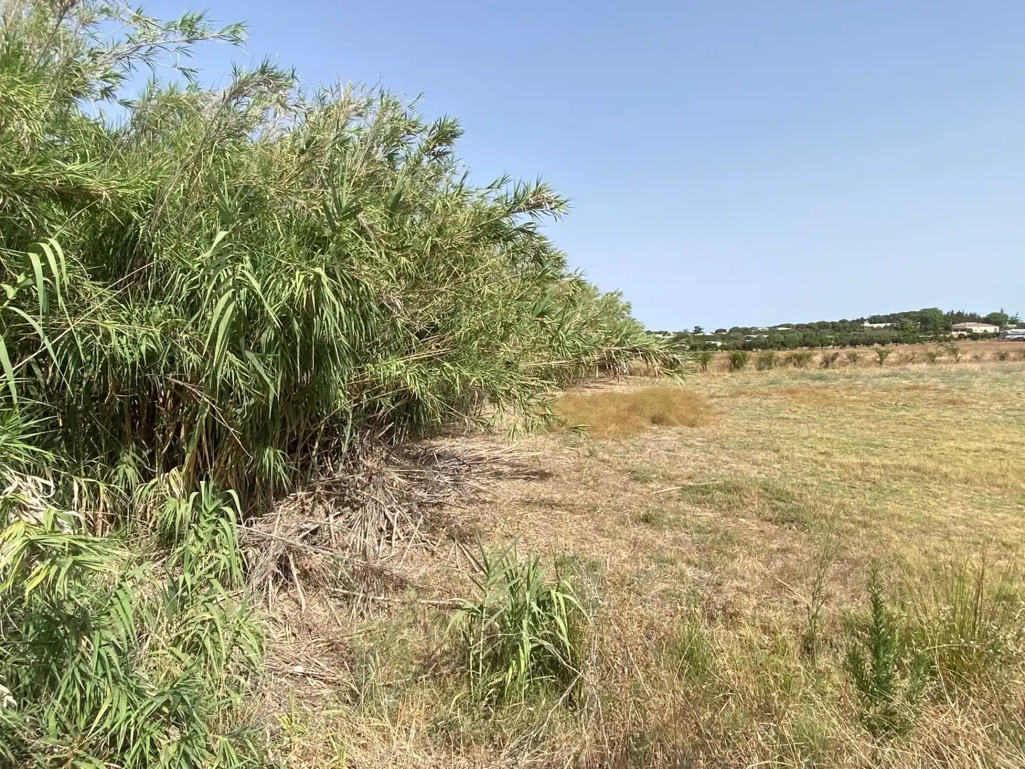 Finca rústica en venta en Aljaraque