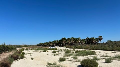 Foto 2 de Terreny en venda a La Foia - Daimés - Asprella, Elche / Elx