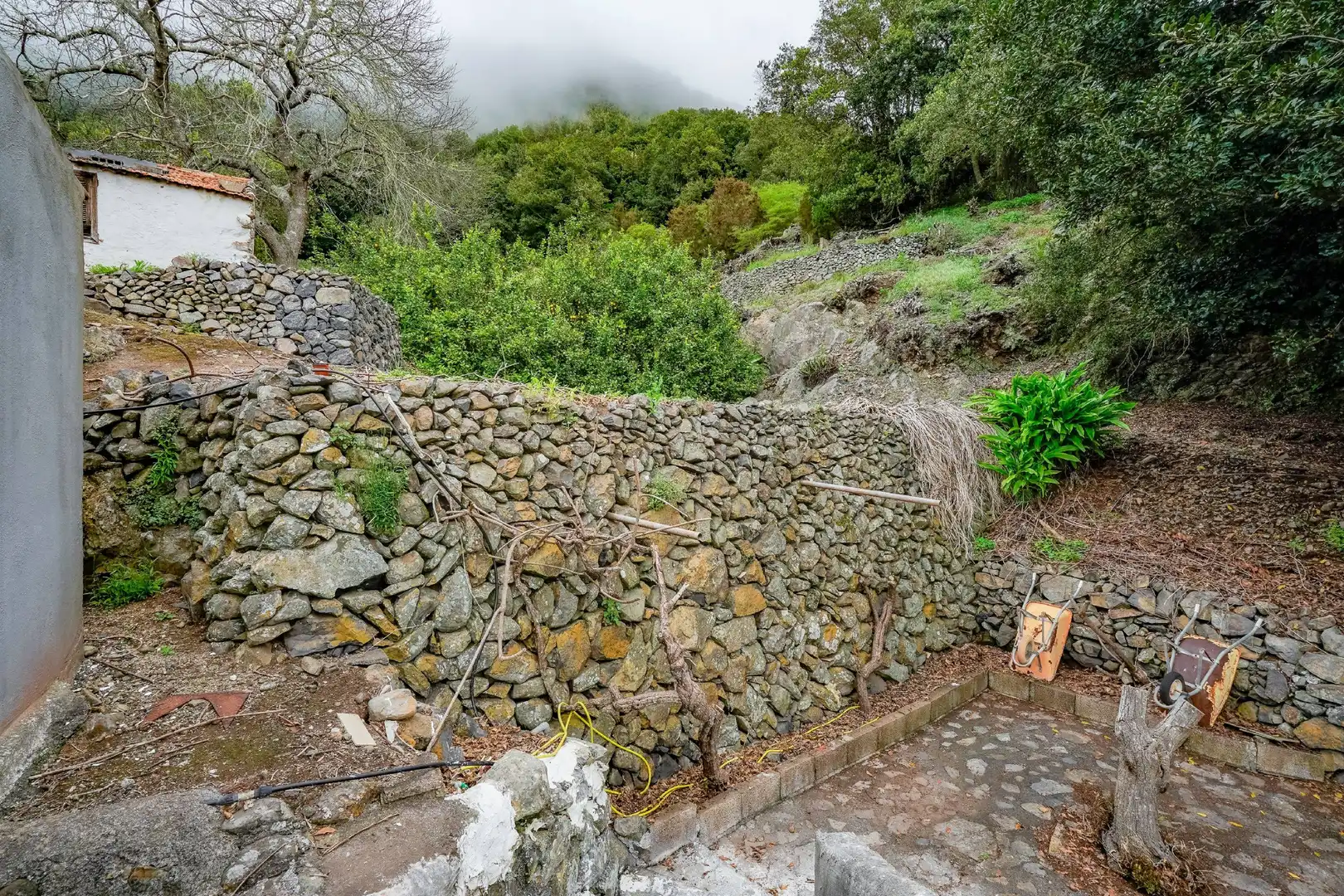 Finca rústica en venda a Hermigua