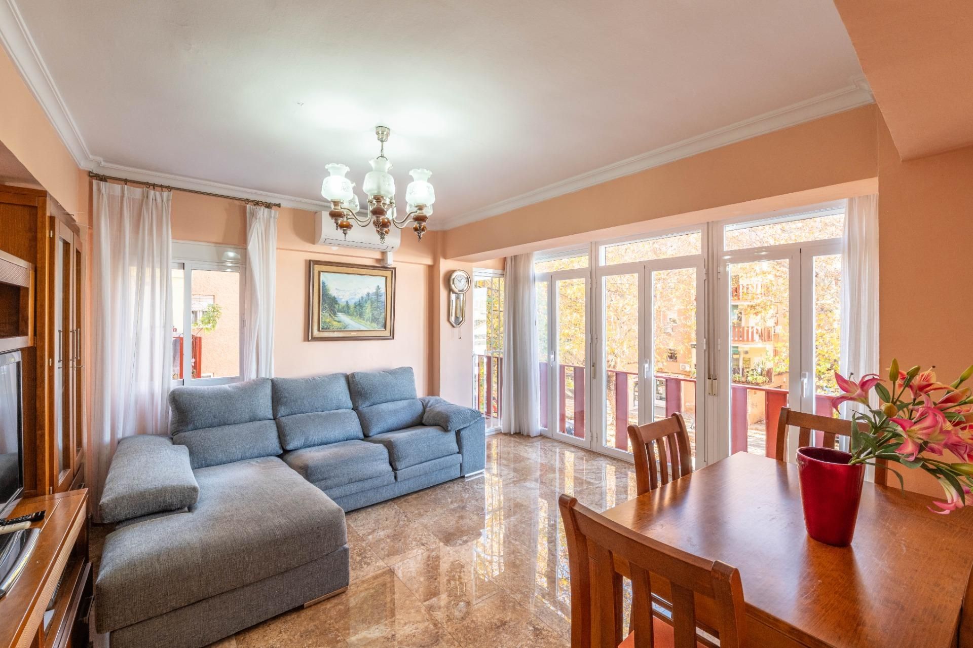 Sala d'estar de Pis en venda en  Granada Capital amb Balcó