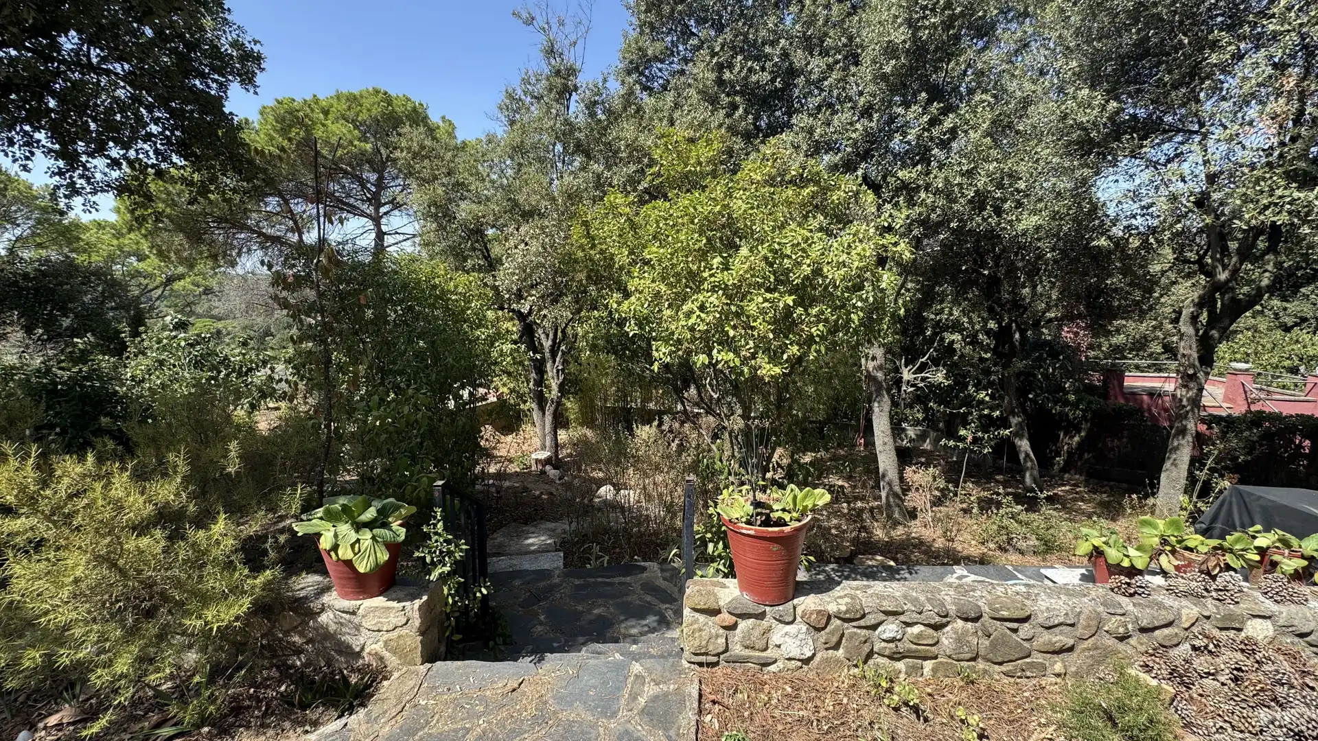 Jardí de Casa o xalet en venda en Sant Pere de Vilamajor amb Terrassa