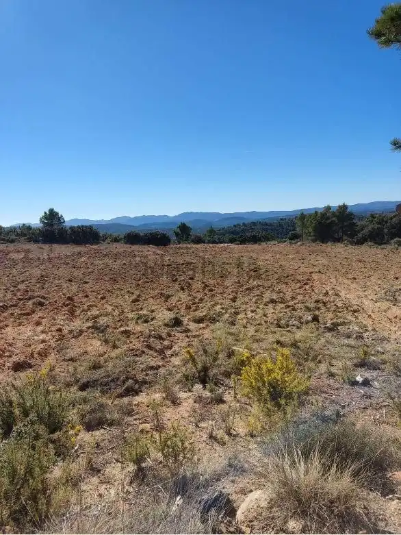 Finca rústica en venta en Zucaina