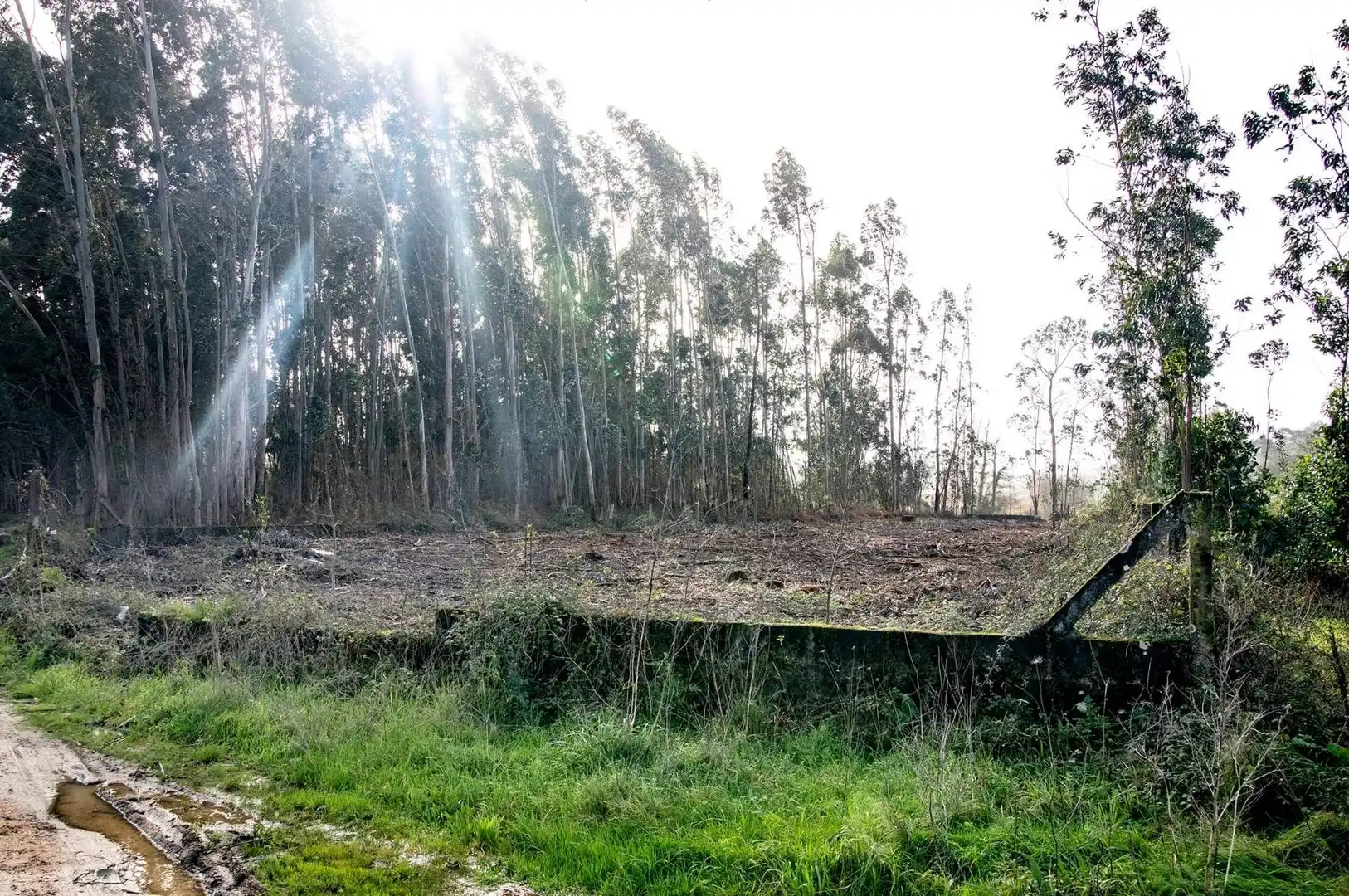 Terreno en venta en Cambados