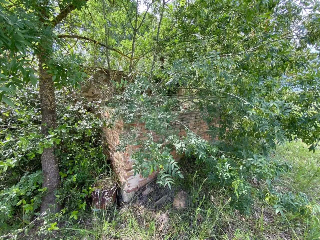 Finca rústica en venta en La Pera