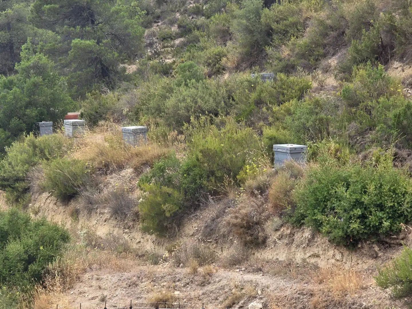 Casa en venda a Ibi, imagen 36