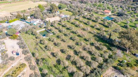 Foto 4 de Finca rústica en venta en Camino Borges a Reus, 1, Riudoms, Tarragona