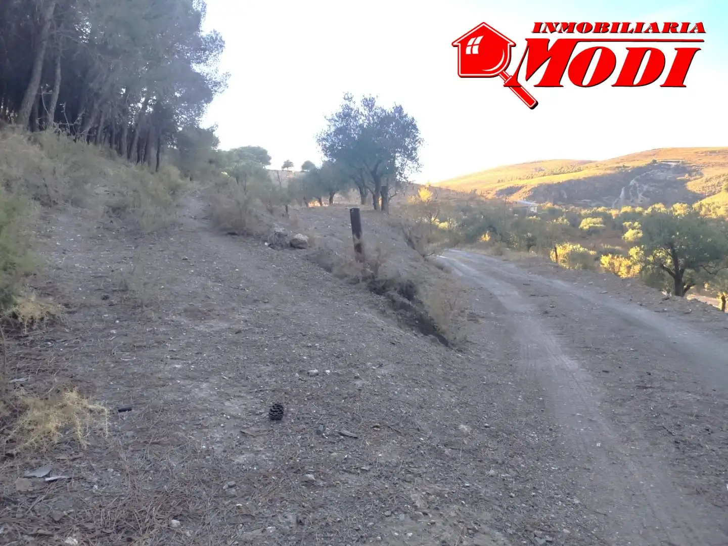 Finca rústica en venda en Villamena amb Jardí privat