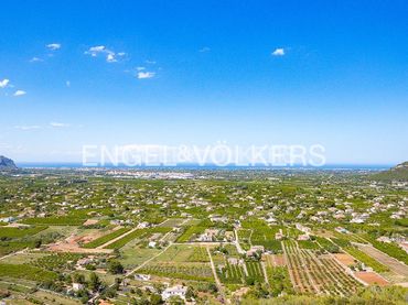 Terrenos y solares en venta en Pedreguer