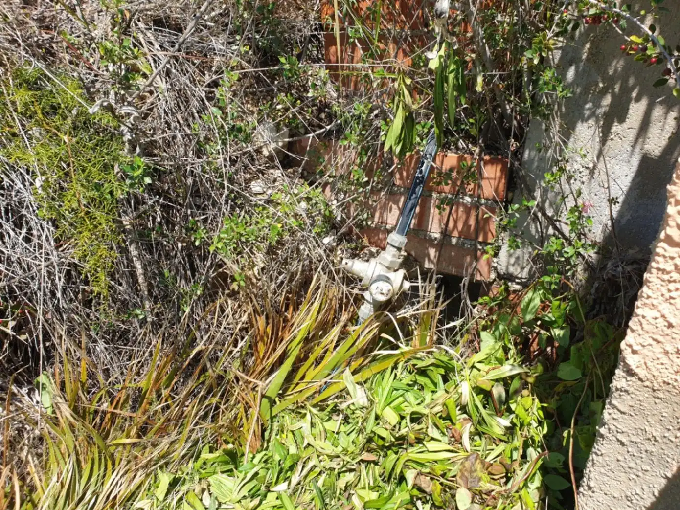 Garden of Houses for sale in Jávea / Xàbia  with Heating, Private garden and Storage room