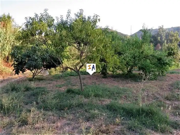 Casa rústica en venda a Fuensanta de Martos, imagen 14