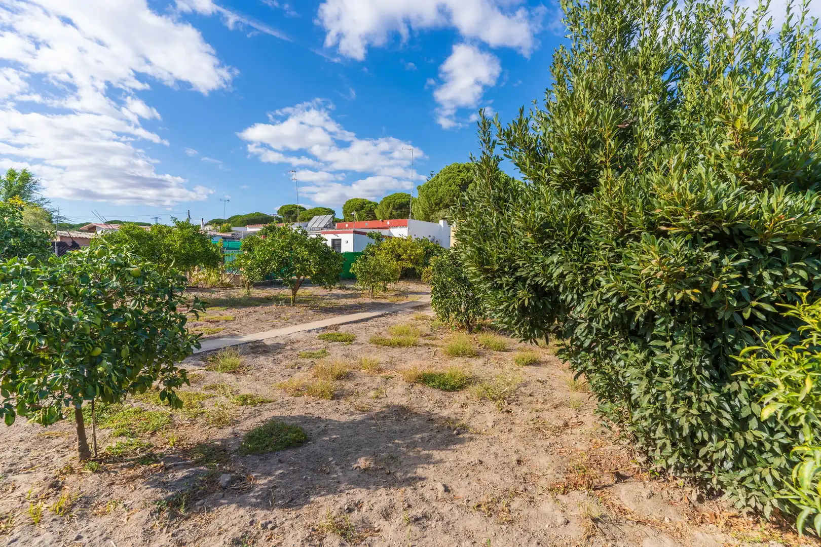 Finca rústica en venta en Bonares con Aire acondicionado, Jardín privado y Terraza
