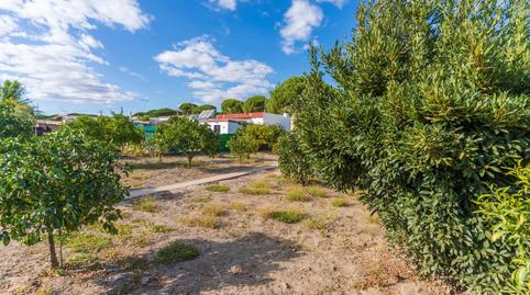Foto 2 de Finca rústica en venda a Camino del Madroño, Bonares, Huelva