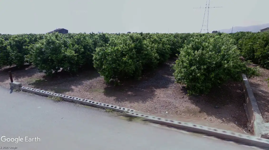 Terreno rustico in vendita a Avenida Alemania-Italia, imagen 3