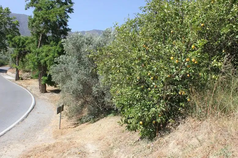 Terreni e lotti in vendita a Andalucía, imagen 17