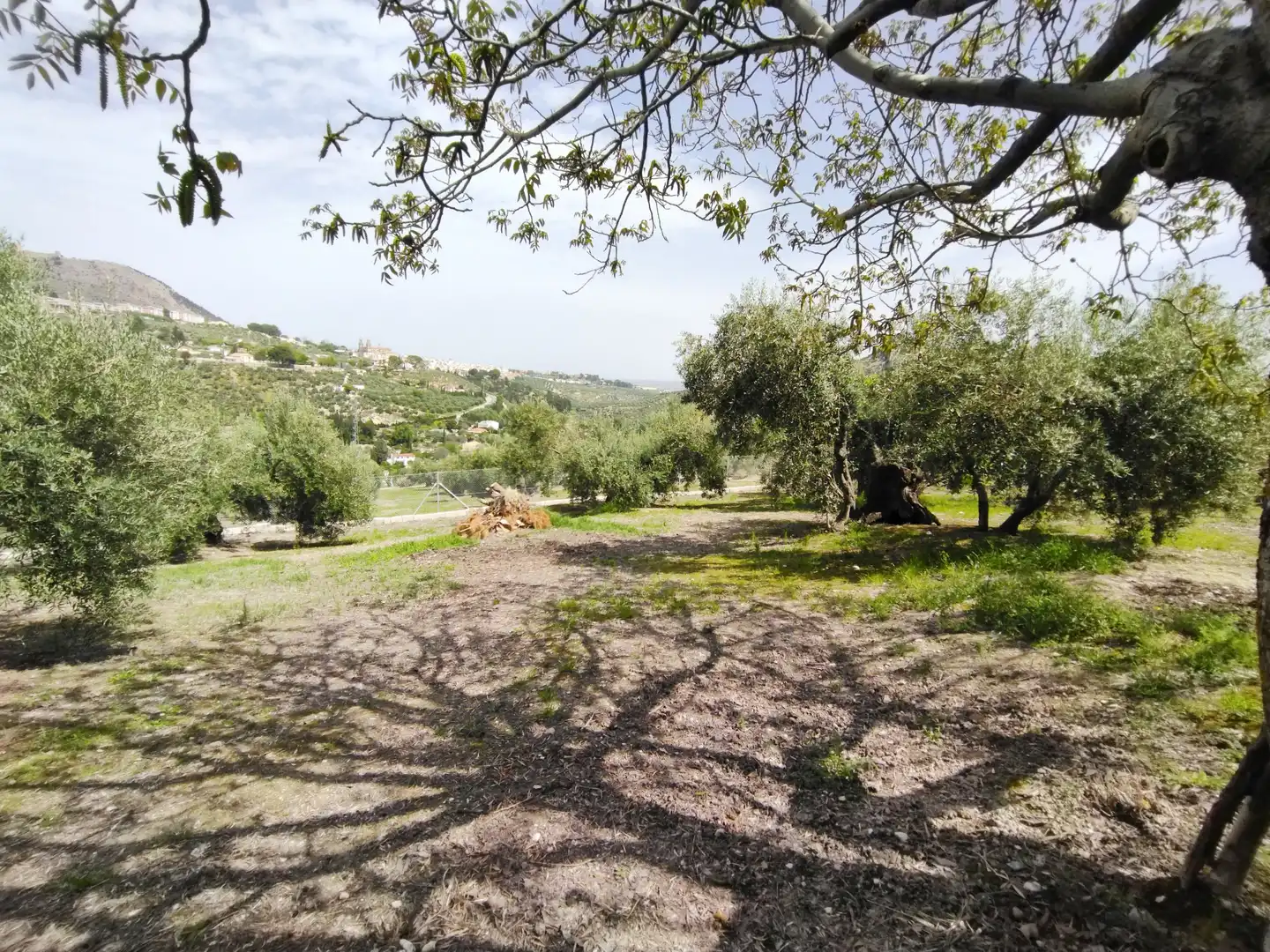 Villa mit Garten zum Verkauf in JA-3210 88, imagen 45