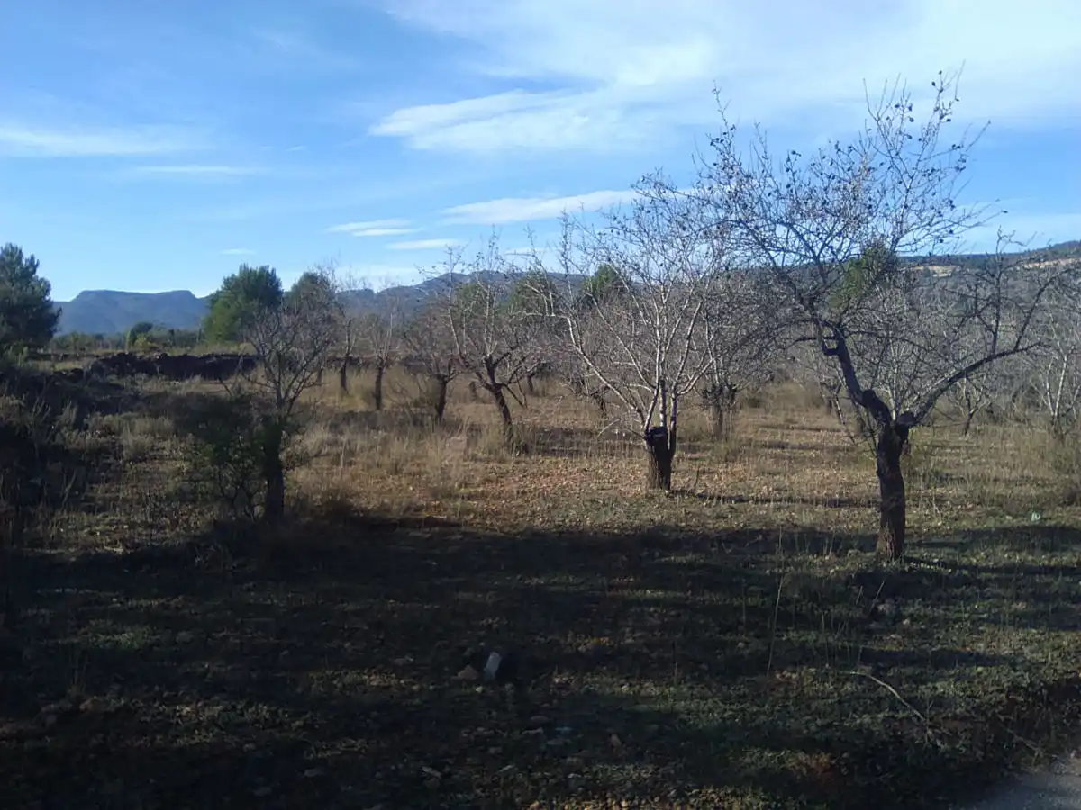 Terreno residencial en venta en Algímia de Alfara, imagen 9