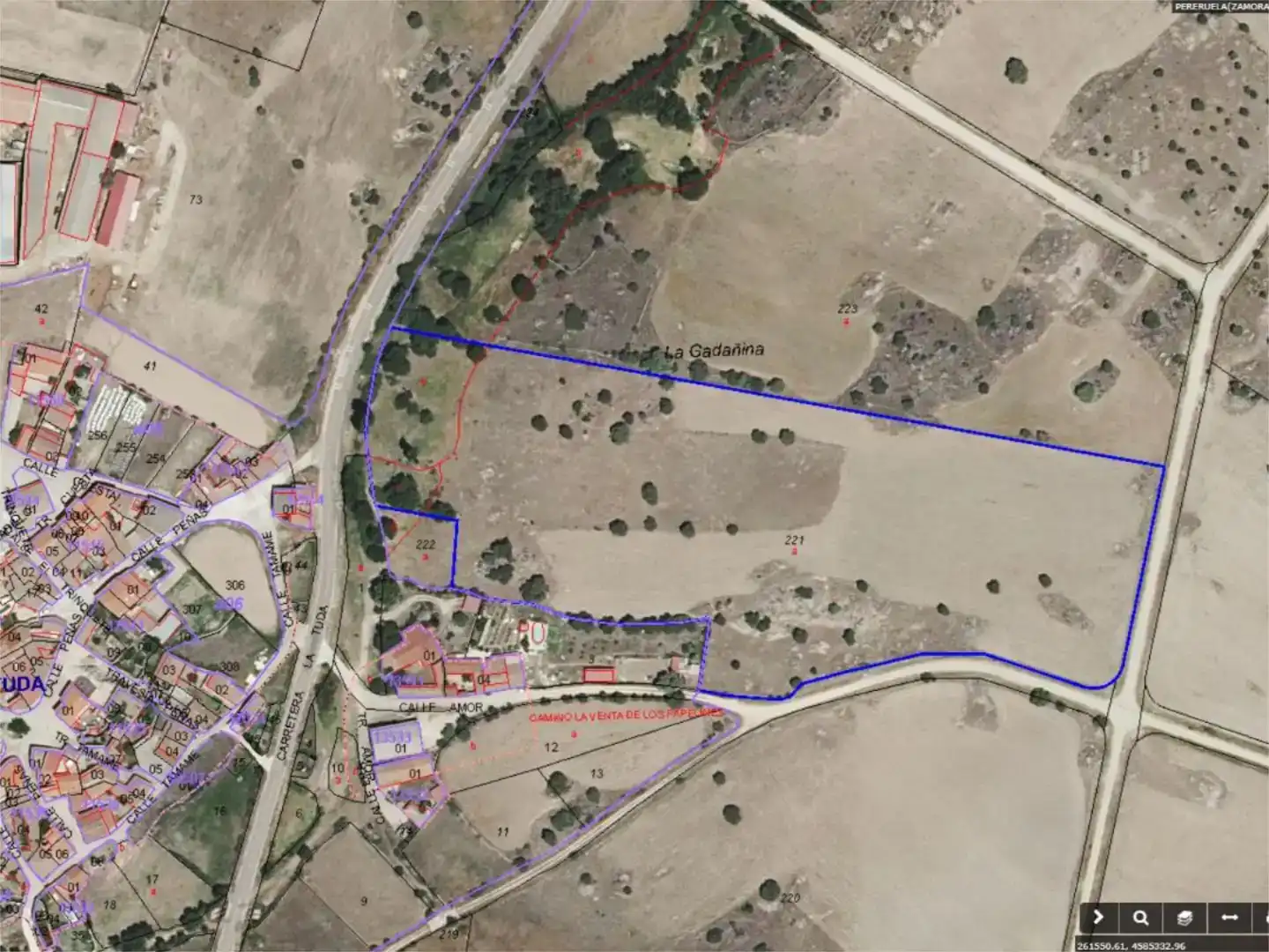 Terreno en venta en Pereruela