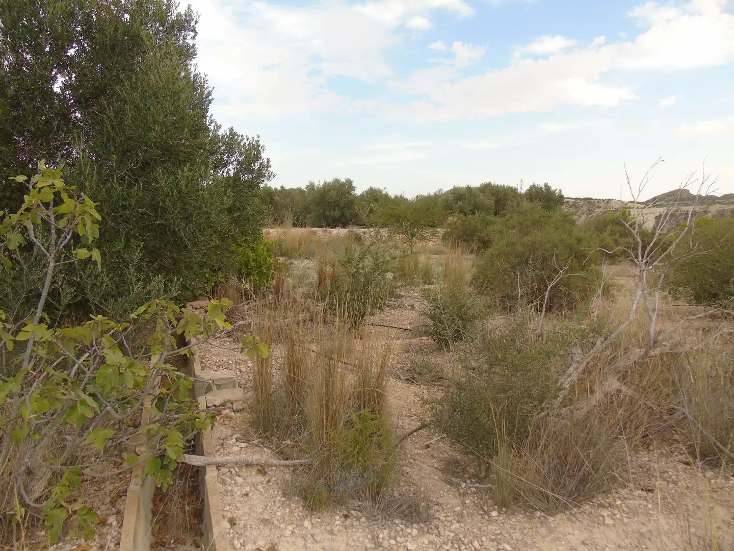 Terrain résidentiel à vendre à Ulea, imagen 3