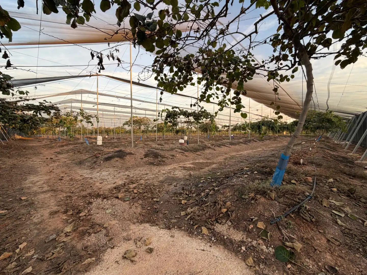 Finca rústica en venda en Urbanizaciones  