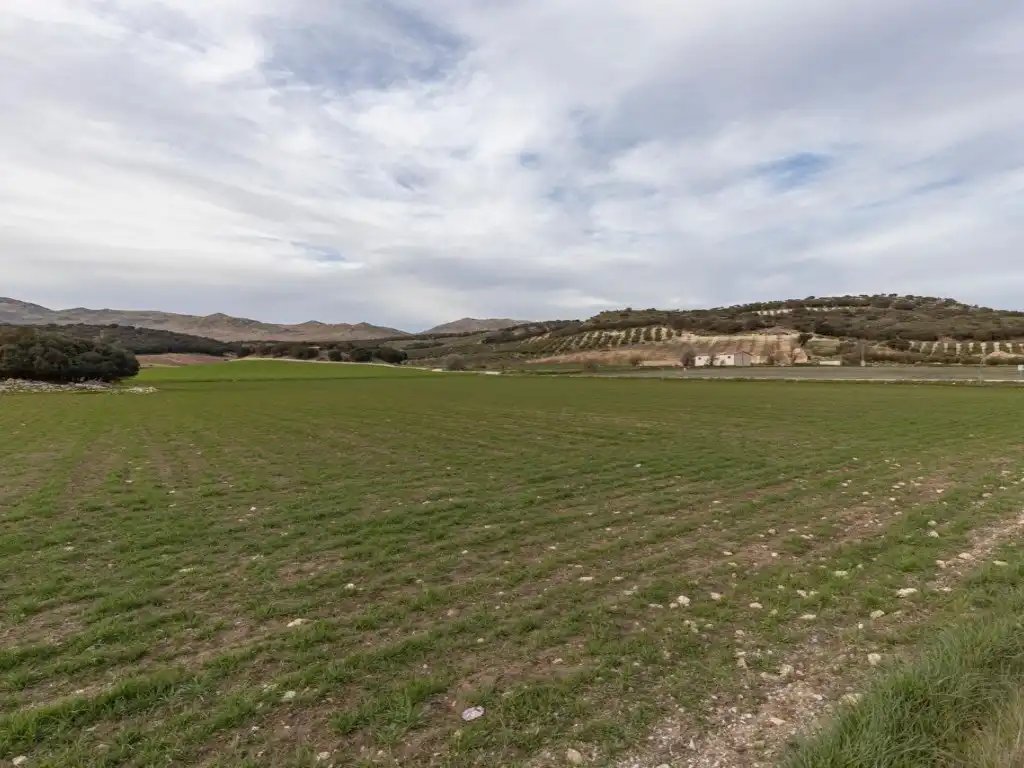 Maison à vendre à Alhama de Granada, imagen 19