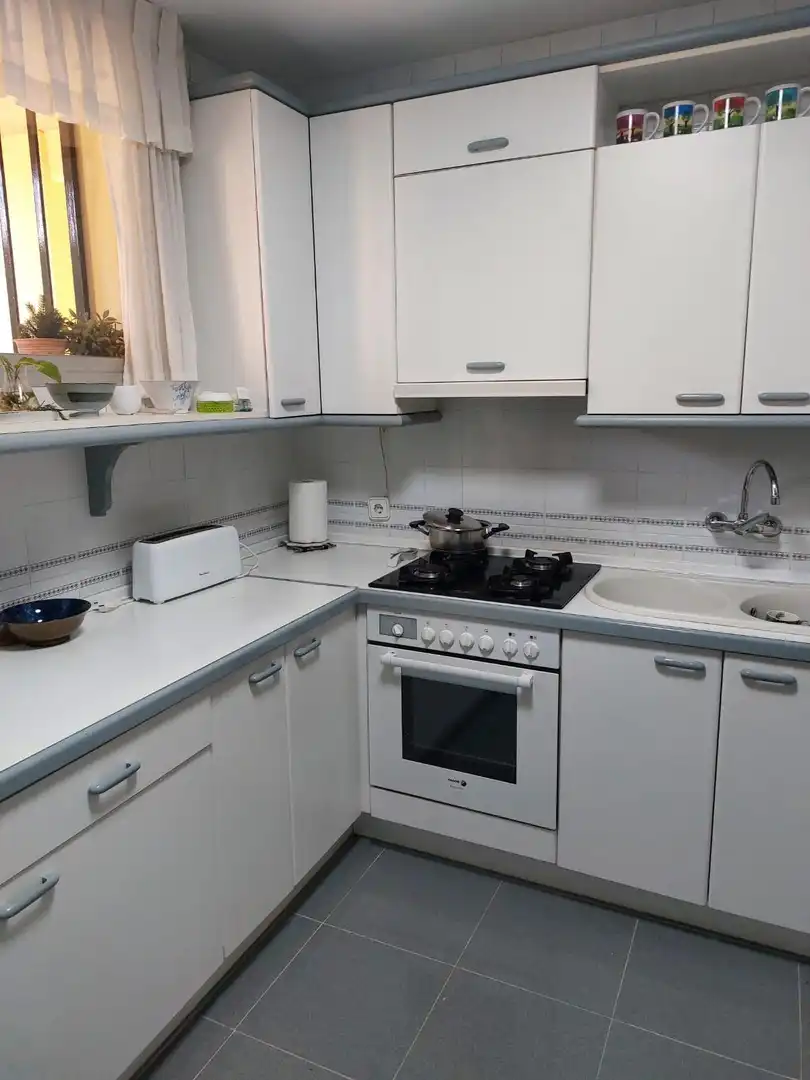 Kitchen of Duplexes for sale in Málaga  with Air Conditioner, Private garden and Terrace