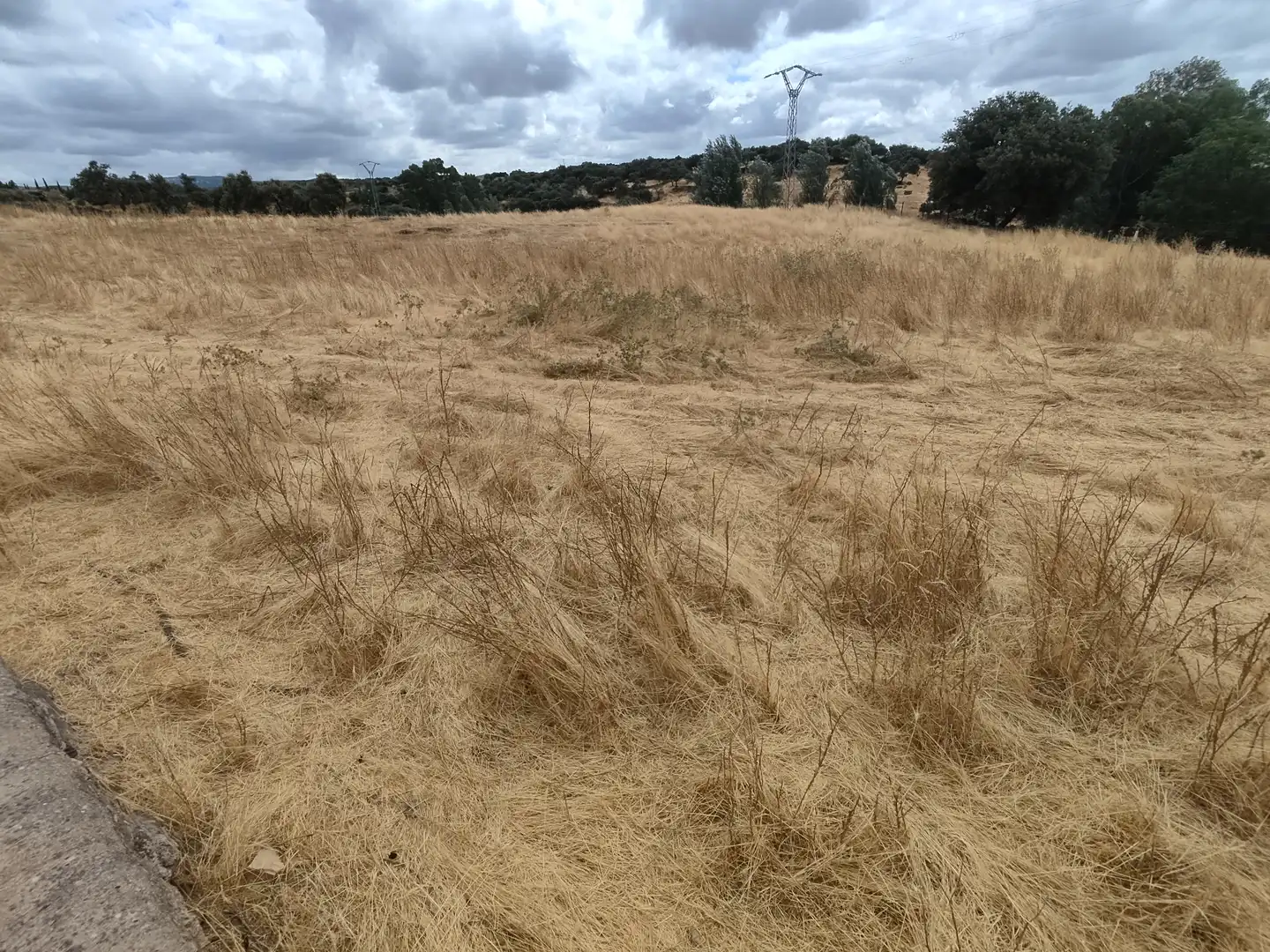 Terreno rustico in vendita a Burguillos del Cerro, imagen 8