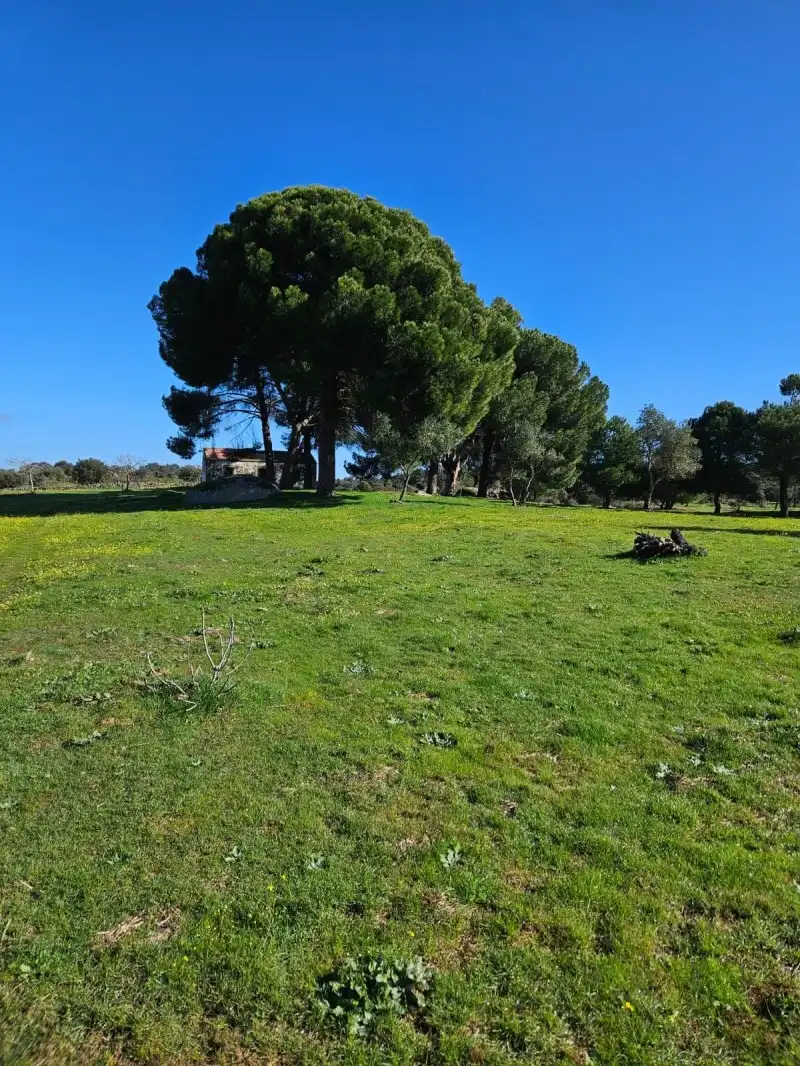 Terreni e lotti in vendita a Aldea del Cano, imagen 2