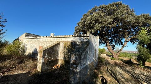 Foto 3 de Terreno en venta en Arcos de la Frontera, Cádiz