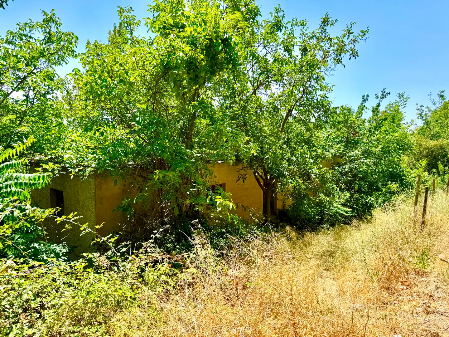 Finca rústica en venta en Alpujarra de la Sierra