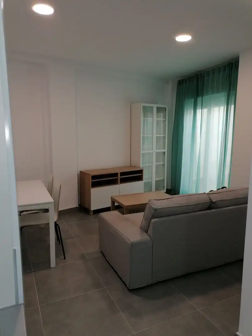Living room of Apartments for rent in Algeciras  with Furnished