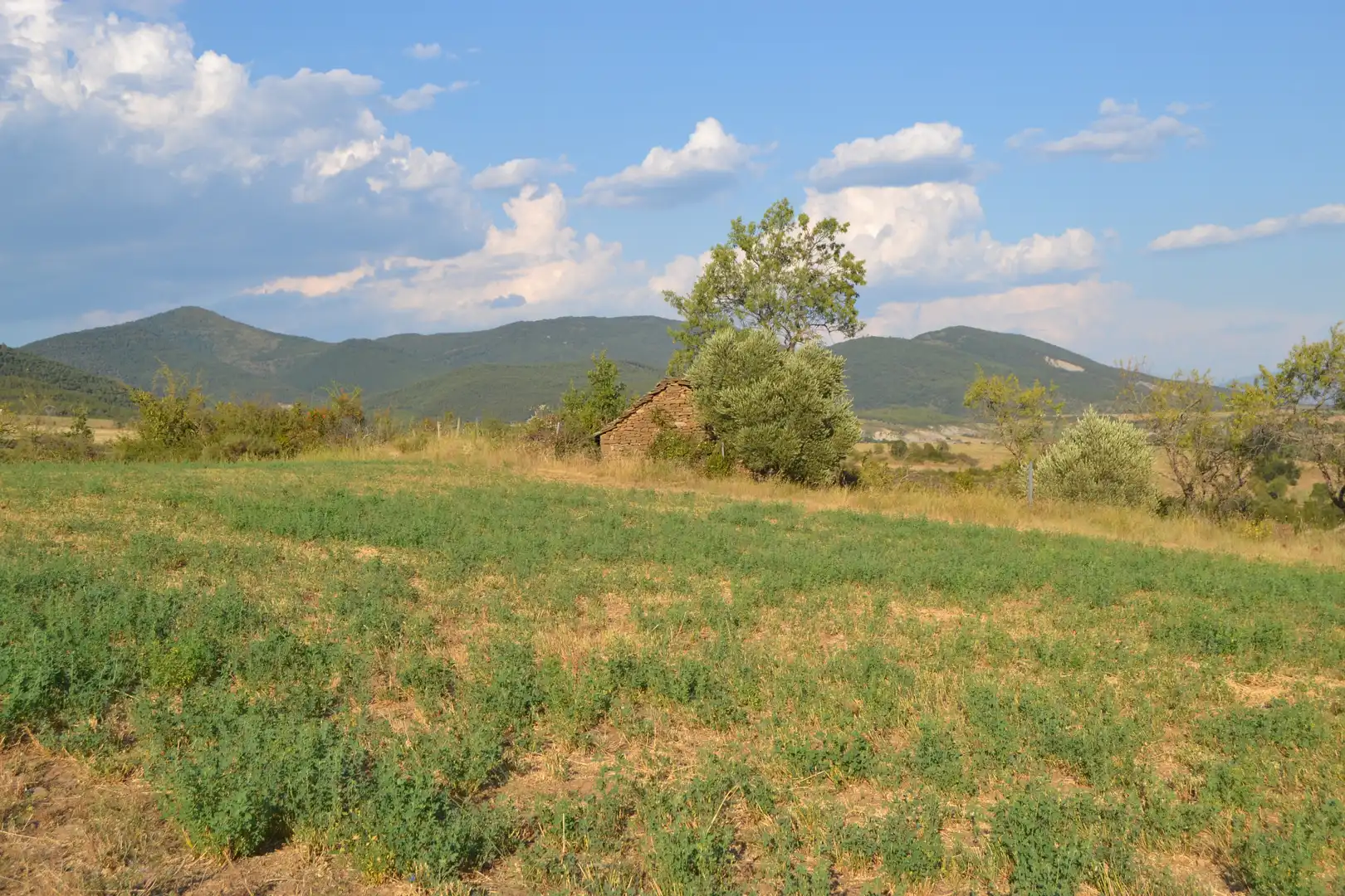 Terreni e lotti in vendita a Jasa, imagen 5